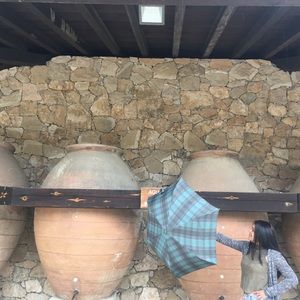 Meet your Posher, Litzhully